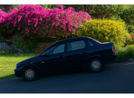 Chevrolet Classic Life