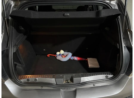 Renault STEPWAY