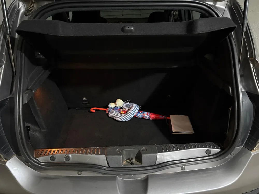 Renault STEPWAY